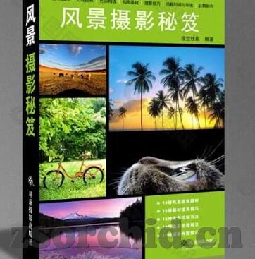 麻豆传媒视频在线观看-探索麻豆传媒视频——线上视听体验的多元视角