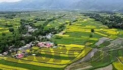 糖心app下载网址进入-探索实用应用与安心体验，糖心APP的优雅之旅