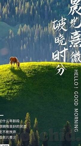 糖心app下载占16mb-体验优化与实用并举，解析糖心app的轻量级魅力